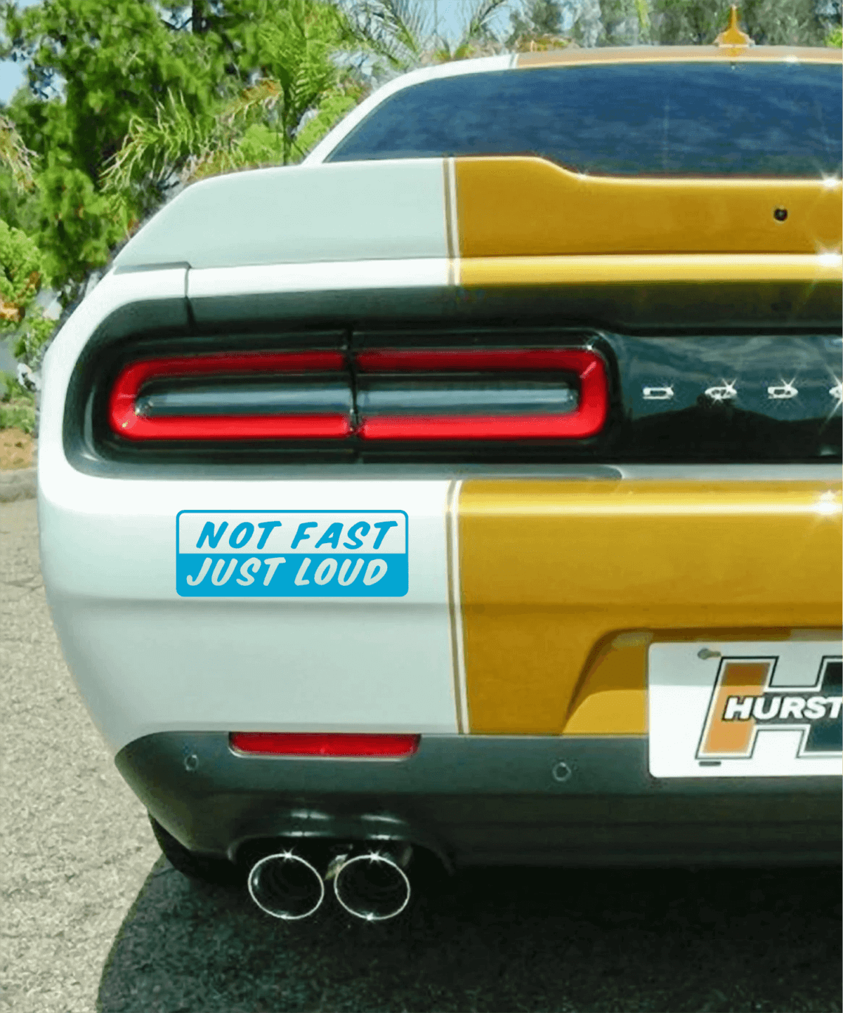 Not Fast Just Loud Decal - Image 3