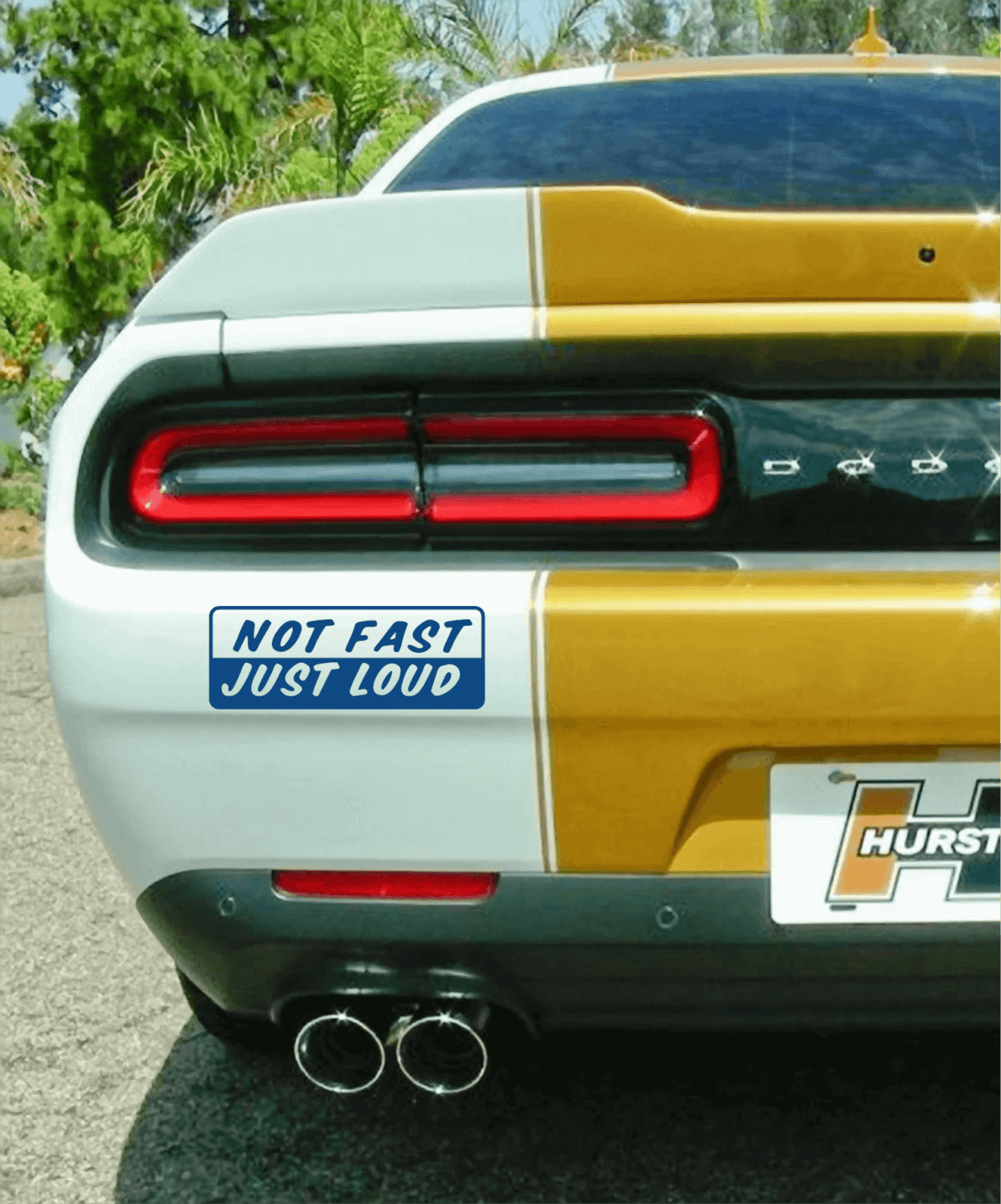 Not Fast Just Loud Decal - Image 4