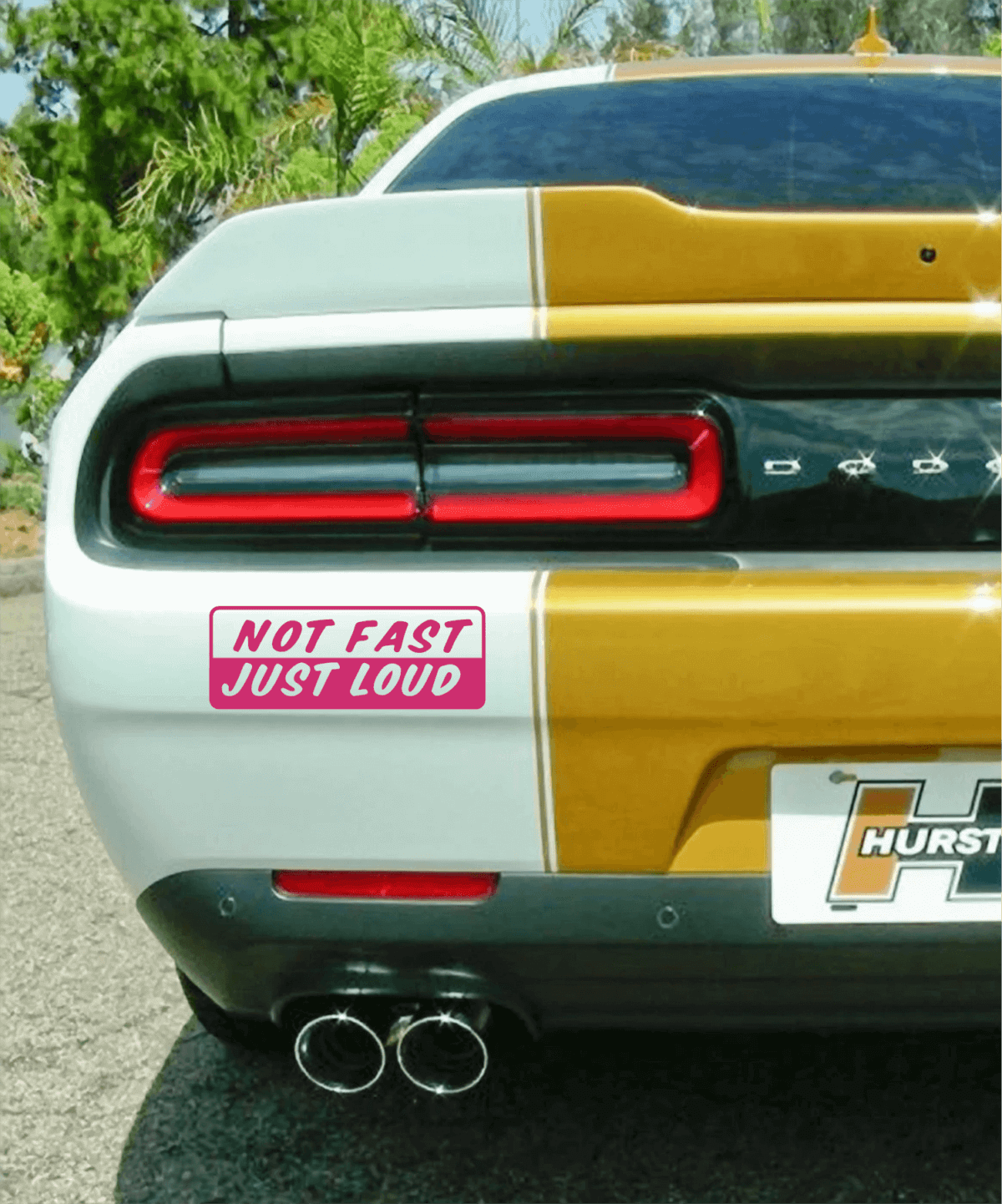 Not Fast Just Loud Decal - Image 6