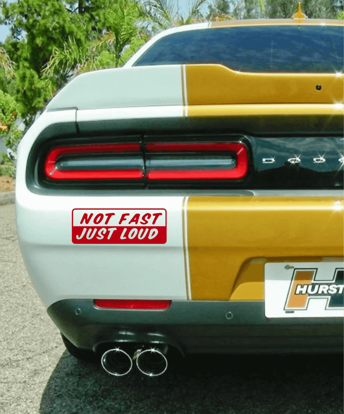 Not Fast Just Loud Decal