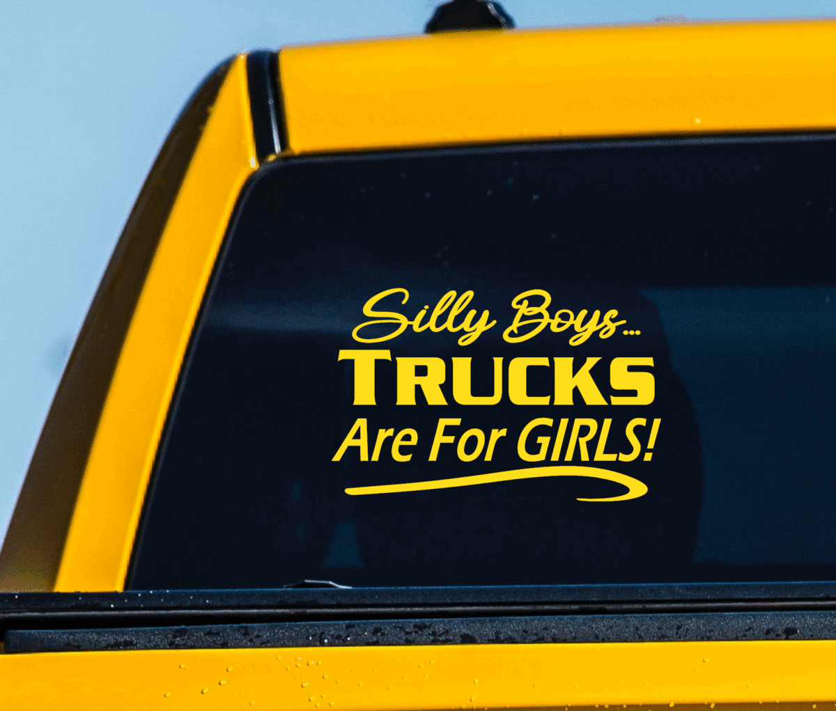 Silly Boys Trucks Are for Girls Decal - Image 9
