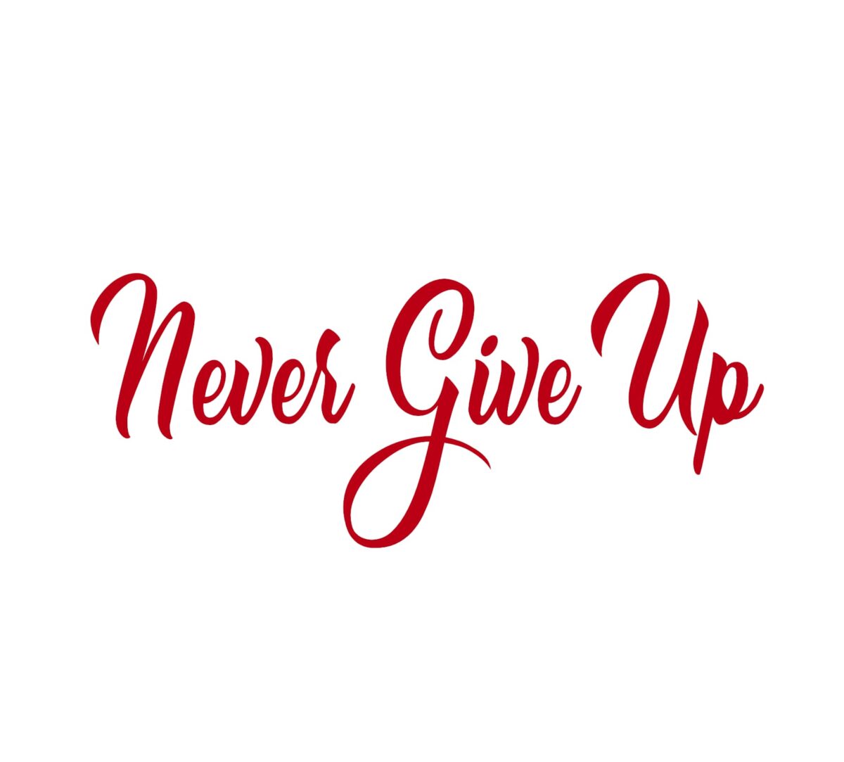 Never Give Up Decal - Image 4